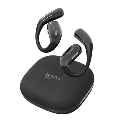 TravelerAI with Charging Case