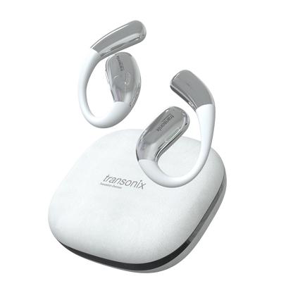 TravelerAI with Charging Case