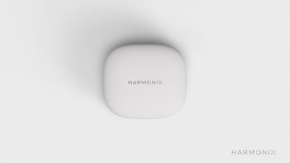 TravelerAI with Charging Case