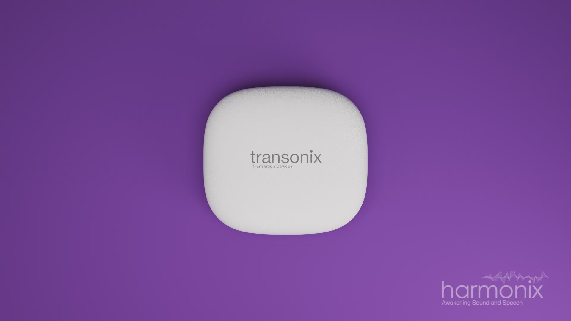 Load video: TravelerAI with Charging Case